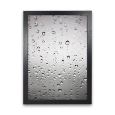 Touch of Rain 1 Piece Wall Art
