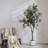6FT Artificial Olive Tree in White Pot, Realistic Faux Indoor Plant for Living Room, Entryway & Office Decor-884985899