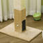 79 cm H Cat Scratchers