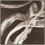 Sepia Poem 2 Print by Art House Studios-147109050
