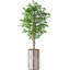 Arbre artificiel signleader-720201803