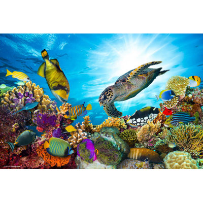 Schreibtischunterlage Underwater World