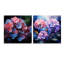 Hortensia rose et bleu, ensemble de 2 verres muraux en acrylique-555054198