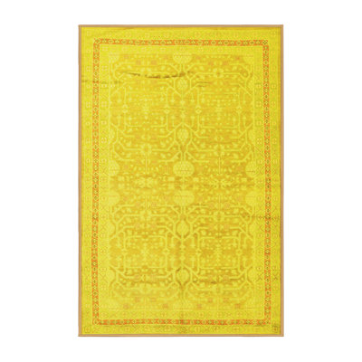 Washable Oriental Indoor Rug