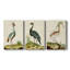 Heron Portrait I - Toile tendue avec châssis sur mesure - 3 pièces-2047068941