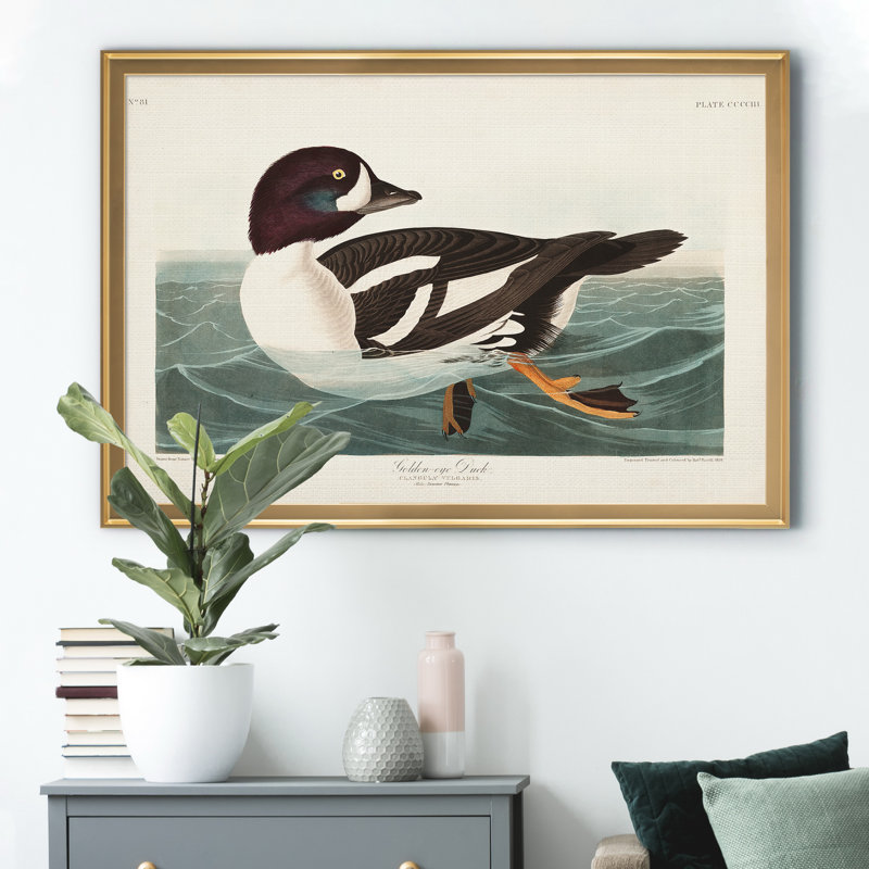 Golden Eye Duck - reproduction d'art sur toile, Doré, H 22,5 po x l 30,5 po x P 1,5 po