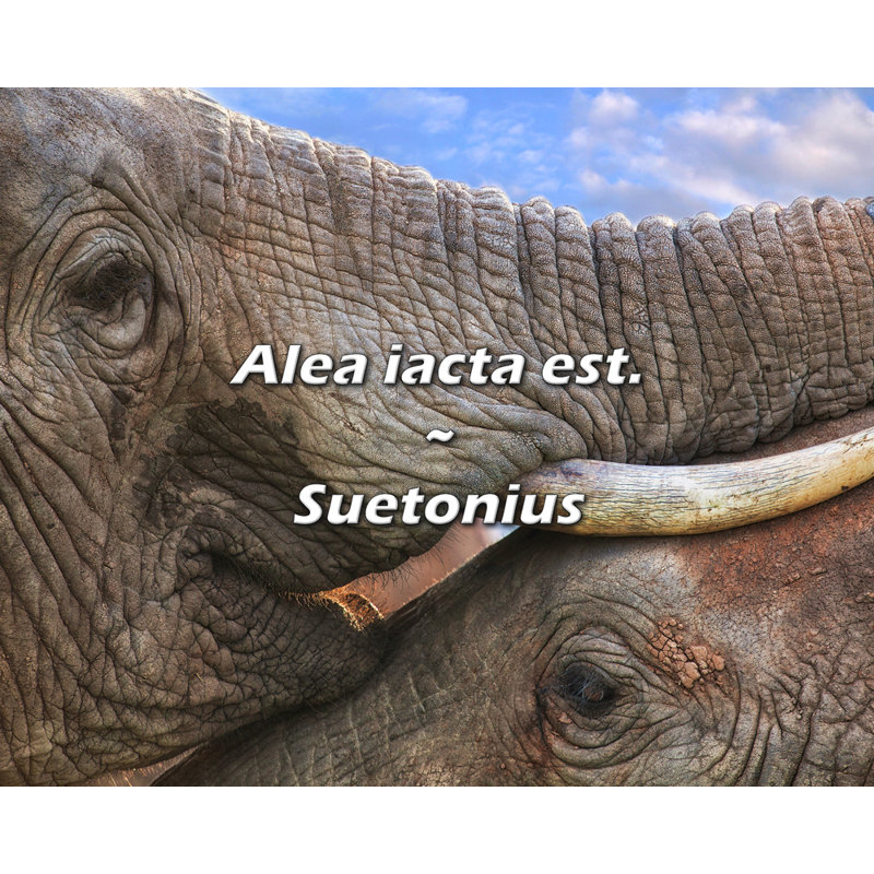 Citation artistique «Alea iacta est.» Toile tendue par Suetonius Gallery, H 33 po x l 48 po