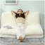Canapé-lit Bean Bag-1563675203