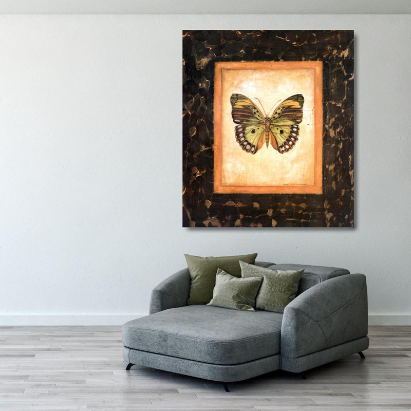 Sierra Leone Butterfly