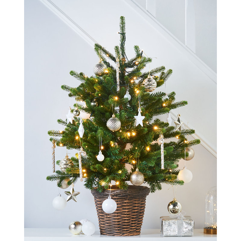 3' H Lighted Artificial Fir Christmas Tree