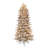 Lighted Christmas Tree-815363162