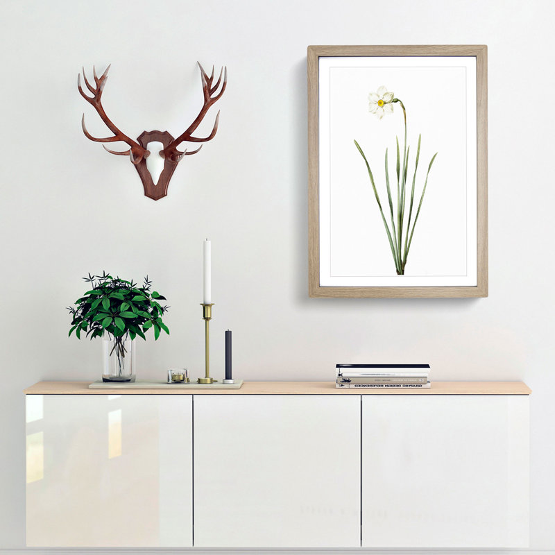 Poeticus Daffodil by Pierre-Joseph Redoute - Picture Frame Painting Print, 48cm H x 36cm W x 2cm D, Oak Framed