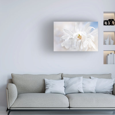 Jacky Parker  Magnolia Stellarta Canvas Art