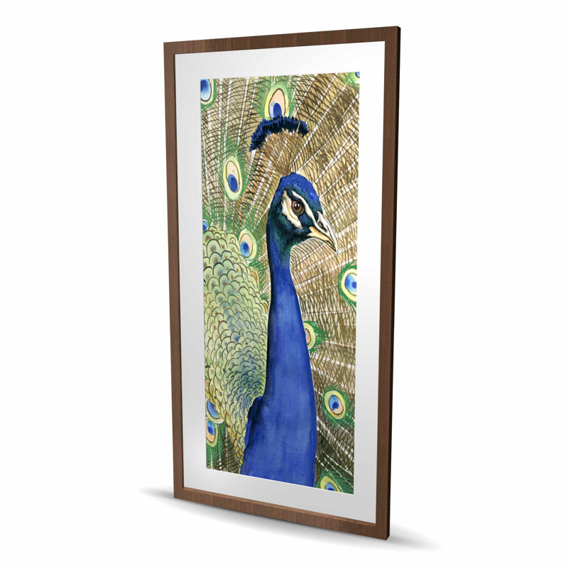 Plumes de paon, reproduction matte encadrée pour la décoration intérieure | Art