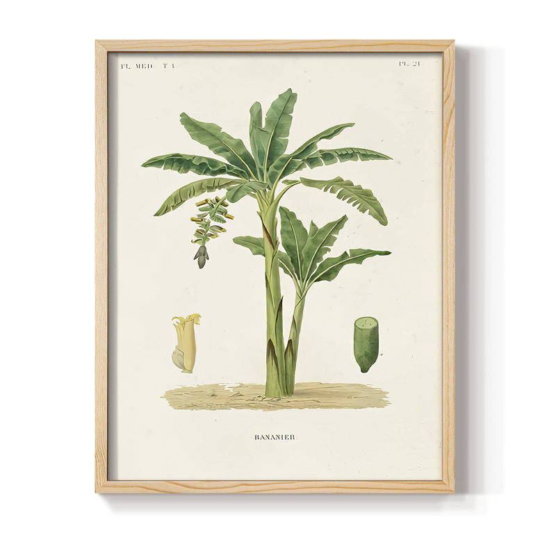 Arbre antique avec fruit III, reproduction encadrée - bois massif, H 15 po x l 12 po, Naturel