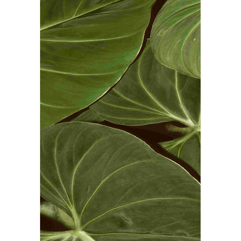 Motif de la nature III, H 12 po x l 8 po