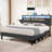Branae Cushioned Flat Storage Bed with Storage Headboard and LED Lights, Cushioned Bed with Sockets and USB Ports-2019282821-2069433371