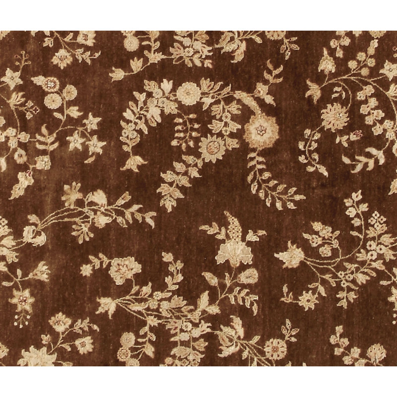 Tapis brun et beige de haute qualité noué à la main, Rectangle 6 pi x 9 pi