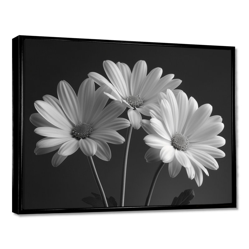 Monochrôme noir et blanc, bonheur, photo IV - marguerites, art mural, H 30 po x l 40 po, Cadre flottant noir