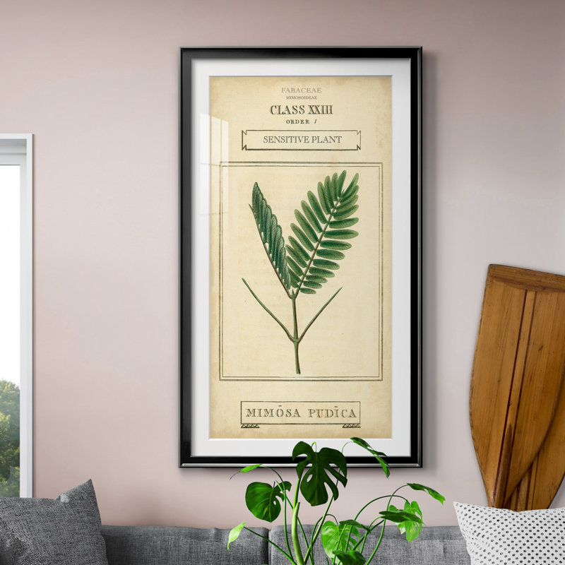 Linnaean Botany IV - Peinture sur toile encadrée, H 14,5 po x l 26,5 po x P 1,5 po, Noir