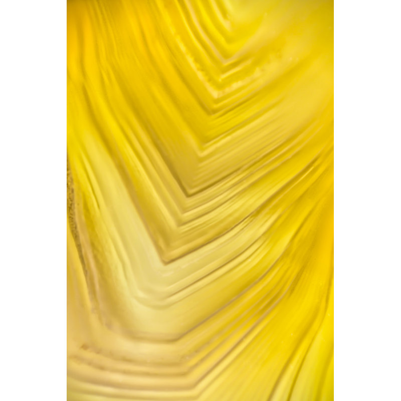 « thunder oeuf », reproduction d’art sur toile tendue, H 30 po x l 20 po x P 1,5 po