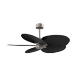 Alessandra - Five Blade Ceiling Fan