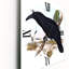 Horloge murale australienne Birds VI-1812450163
