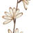 0.5'' Plant