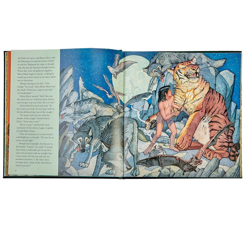 Livre pour enfants The Jungle Book