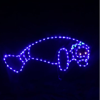 Manatee Nautical Holiday