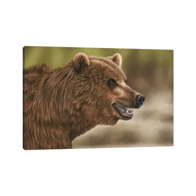 Grizzly Bear by Richard Macwee - Wrapped Canvas Gallery-Wrapped Canvas Giclée