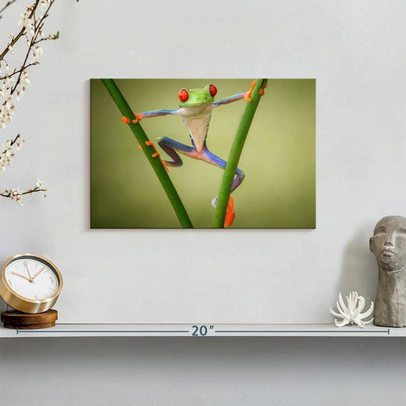 Frog Show Off, 8" H x 12" W