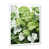 Cadre simple blanc