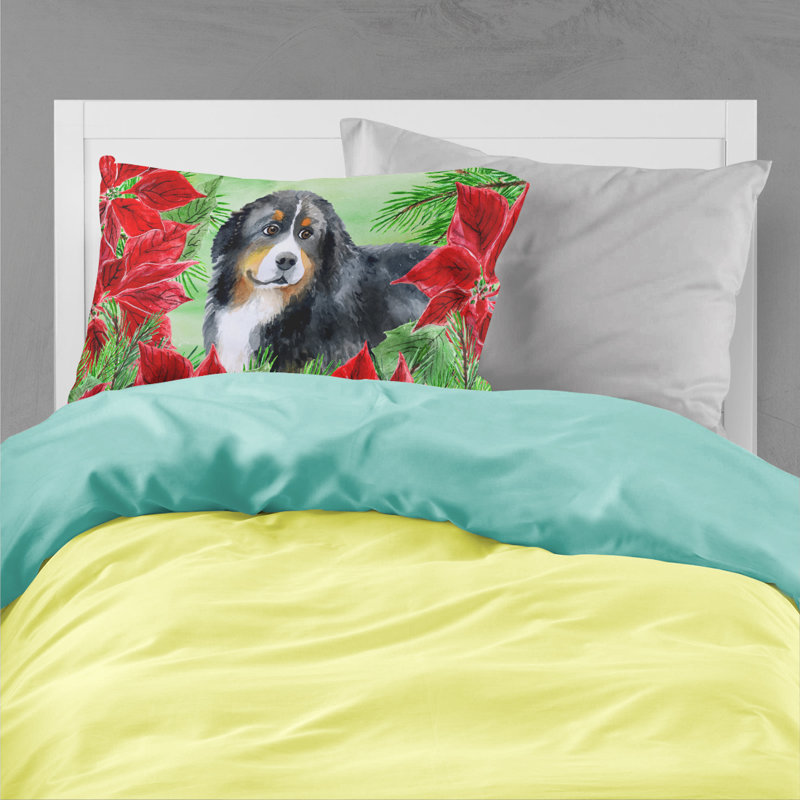 Microfiber, Bernese Mountain Dog