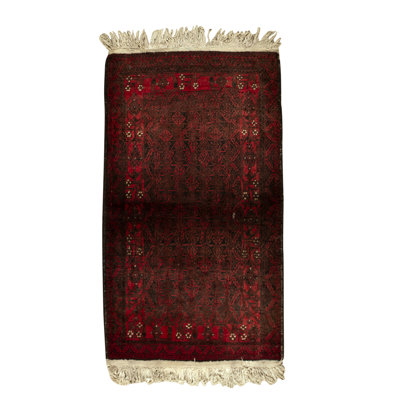 Hand-Knotted High-Quality Area Rug