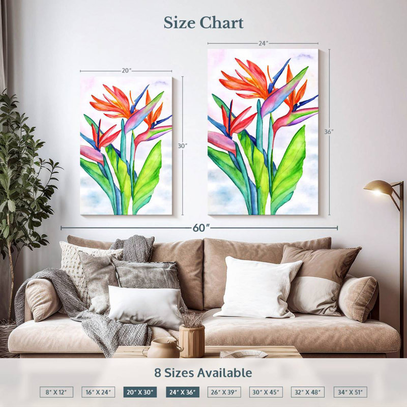 Strelitzias Harnek, H 36 po x l 24 po