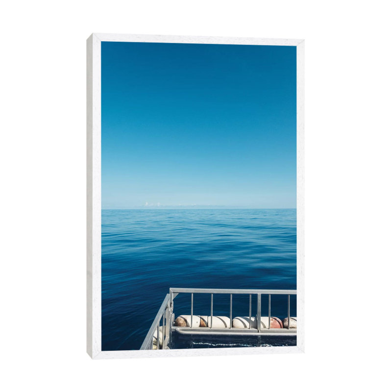 Shark Swim by Bethany Young - Print on Canvas, White Framed, 66.04cm H x 45.72cm W x 3.81cm D