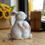 Animals Polyresin Garden Statue