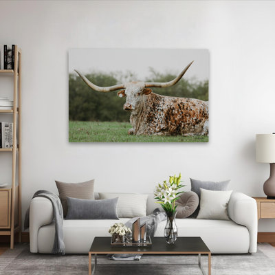 Tacheté à Amarillo - art contemporain du Texas Longhorn