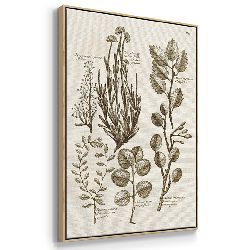 Sépia Botanical Journal VI 3 pièces, H 27 po x l 54 po, Naturel