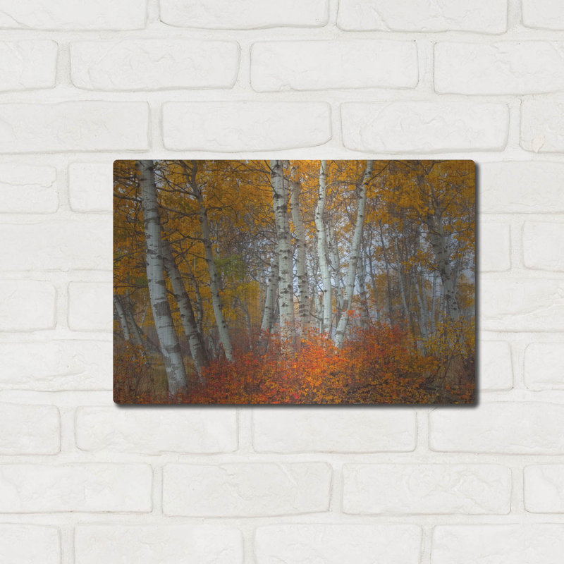 "Morning Aspens" par Jesse Estes, H 12 po x l 16 po