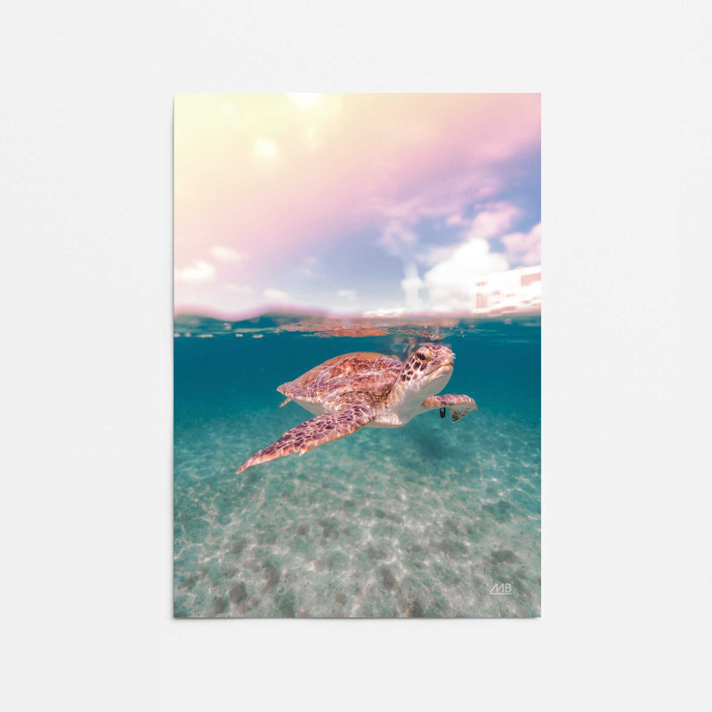 Imprimé Serene Sea Turtles , H 14 po x l 11 po, Impression sans cadre, Ne s'applique pas