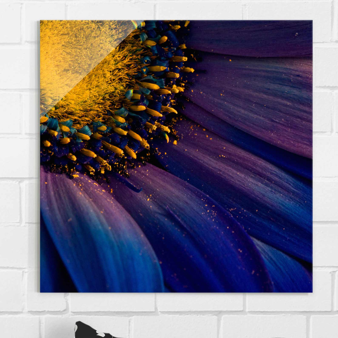 Glasbild Blaue Gerbera