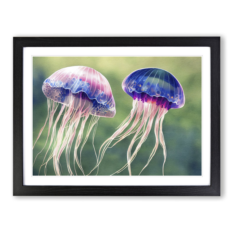 Watercolour Jellyfish - Single Picture Frame Print, Black, 46cm H x 64cm W x 2cm D
