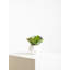 24cm Faux Succulent Plant in Concrete Pot