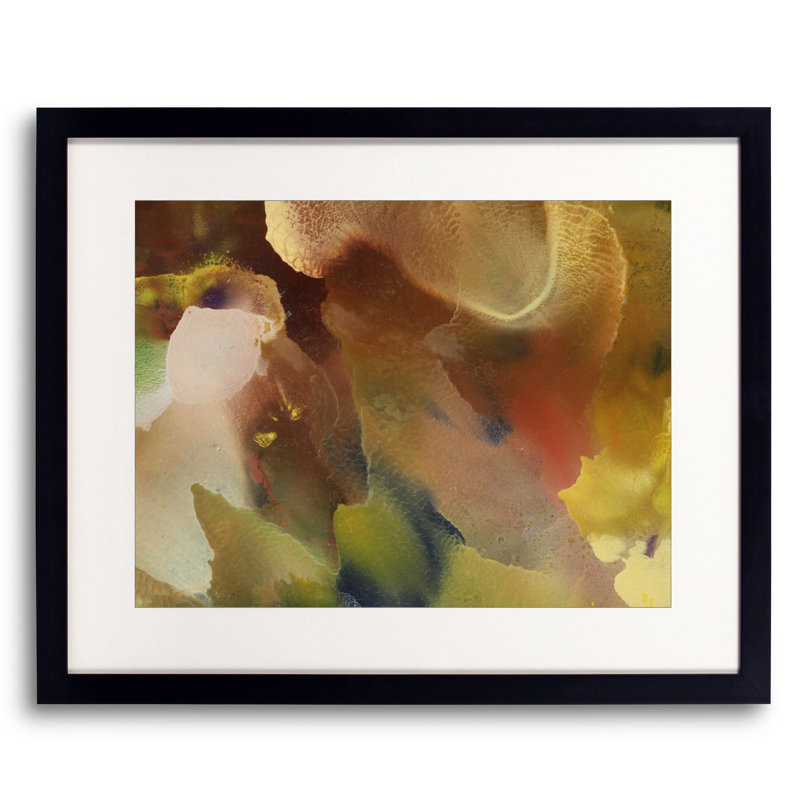 Achillea 01 Print by Usha Shukla, 16" H x 20" W