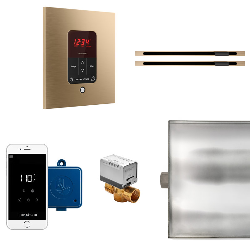 Commande de générateur de vapeur Butler Max, Bronze brossé