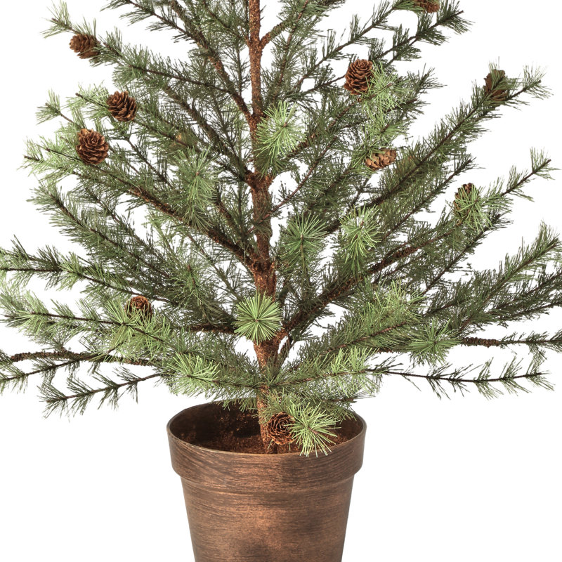 36" Potted Skip Pine Tree With Cone