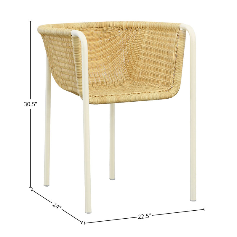 Kamille Rattan and Metal Outdoor Dining Chair