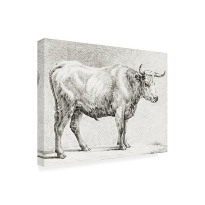 «Bernard's Bull Renderings IV» sur